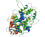 X-Transporter protein 2 (Xtrp2)
