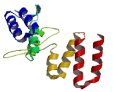 XPA Binding Protein 2 (XAB2)