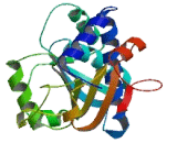 YjeF N-Terminal Domain Containing Protein 3 (YJEFN3)
