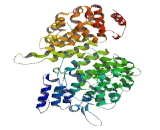 Zinc Finger, BED-Type Containing Protein 5 (ZBED5)