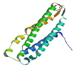 Zinc Finger, CW-Type With PWWP Domain Protein 2 (ZCWPW2)
