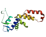 Zinc Finger And BTB Domain Containing Protein 8B (ZBTB8B)