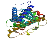 Zinc Finger And SCAN Domain Containing Protein 16 (ZSCAN16)
