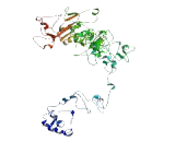 Zinc Finger CCCH-Type Containing Protein 4 (ZC3H4)