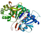 Zinc Finger Protein 229 (ZN<b>F229</b>)