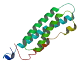 Zinc Finger Protein 767 (ZNF767)