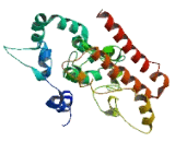 Zinc Finger Protein 768 (ZNF768)