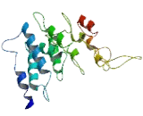 Zinc Finger With UFM1 Specific Peptidase Domain Protein (ZUFSP)
