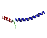 cAMP Responsive Element Binding Protein 3 Like Protein 3 (CREB3L3)