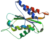 tRNA-yW Synthesizing Protein 1 (TYW1)