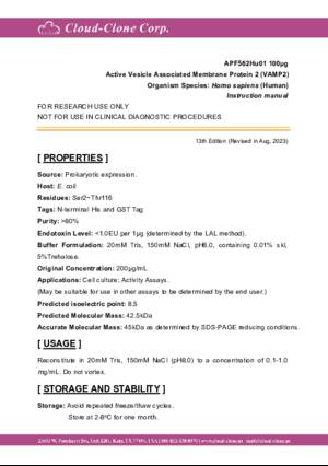 Active-Vesicle-Associated-Membrane-Protein-2-(VAMP2)-APF562Hu01.pdf