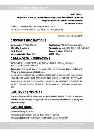 Polyclonal-Antibody-to-Poliovirus-Receptor-Related-Protein-3--PVRL3--PAB475Mu01.pdf