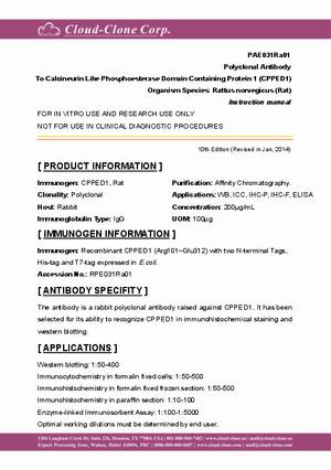 Polyclonal-Antibody-to-Calcineurin-Like-Phosphoesterase-Domain-Containing-Protein-1--CPPED1--PAE031Ra01.pdf