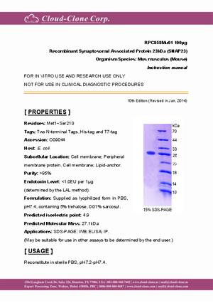 Recombinant-Synaptosomal-Associated-Protein-23kDa--SNAP23--RPC858Mu01.pdf