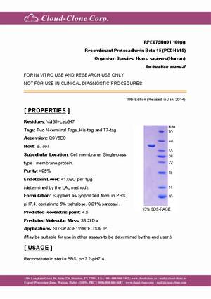 Recombinant-Protocadherin-Beta-15--PCDHb15--RPE075Hu01.pdf
