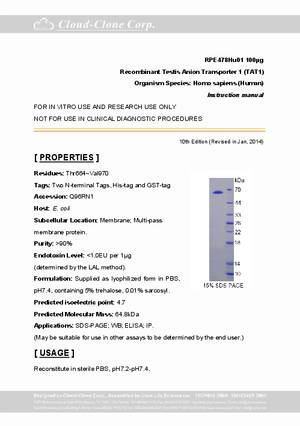 Recombinant-Testis-Anion-Transporter-1--TAT1--RPE478Hu01.pdf