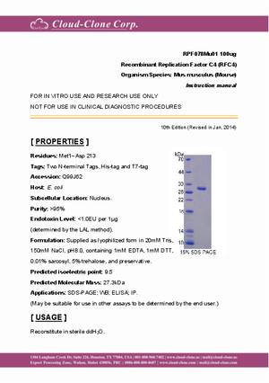 Recombinant-Replication-Factor-C4-(RFC4)-RPF078Mu01.pdf