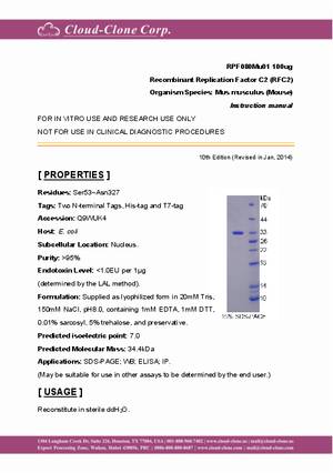 Recombinant-Replication-Factor-C2-(RFC2)-RPF080Mu01.pdf