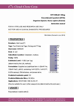 Recombinant-Exportin-6-(XPO6)-RPF159Hu01.pdf