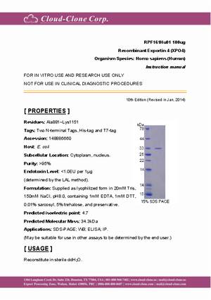 Recombinant-Exportin-4-(XPO4)-RPF161Hu01.pdf
