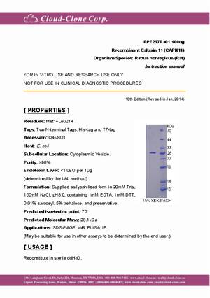 Recombinant-Calpain-11-(CAPN11)-RPF257Ra01.pdf