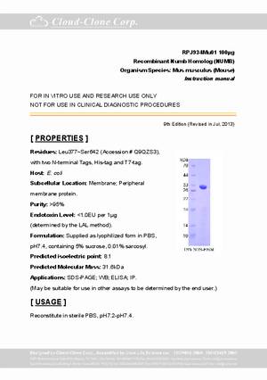 Recombinant-Numb-Homolog--NUMB--RPJ934Mu01.pdf