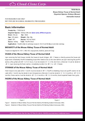 Mouse-Kidney-Tissue-of-Normal-Adult-TSI501Mu19.pdf