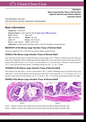 Mouse-Tissue-of-Normal-Adult-TSI501Mu41.pdf