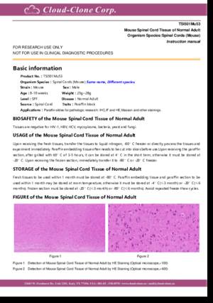 Mouse-Tissue-of-Normal-Adult-TSI501Mu53.pdf