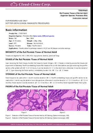 Rat-Tissue-of-Normal-Adult-TSI501Ra63.pdf