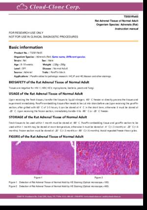 Rat-Tissue-of-Normal-Adult-TSI501Ra65.pdf