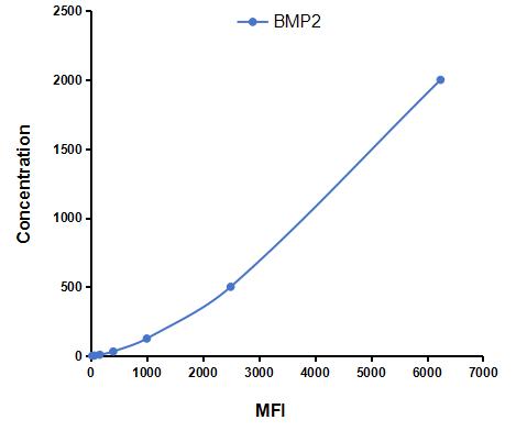 CMA013Po.jpg