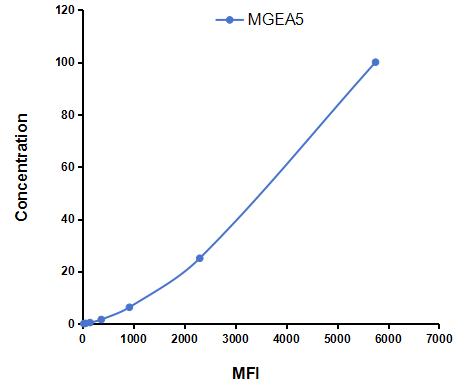 CMA069Ra.jpg