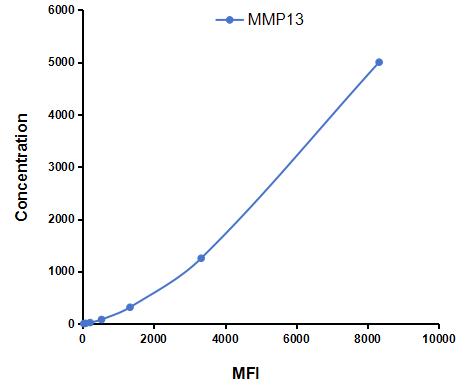 CMA099Mu.jpg