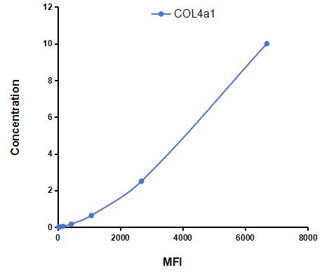 CMA149Mu.jpg