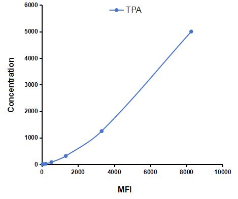 CMA163Hu.jpg