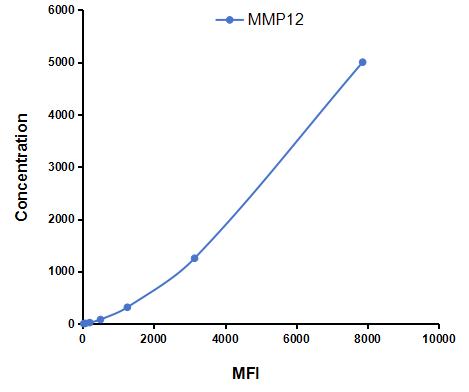 CMA402Ra.jpg