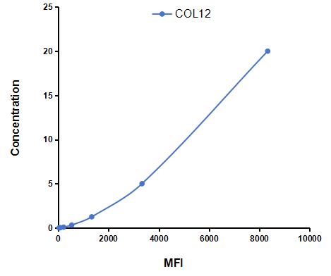Multiplex Assay Kit for Collagen Type XII (COL12) ,etc. by CBA (Cytometric Bead Array)