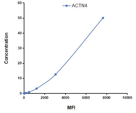 CMC223Hu.jpg