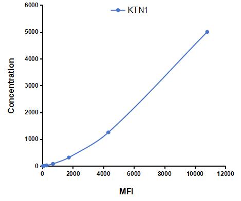 CMC558Hu.jpg