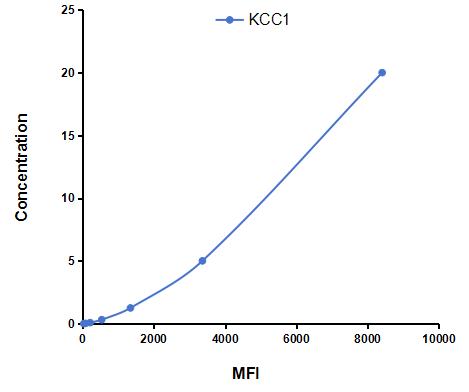 Multiplex Assay Kit for Potassium Chloride Cotransporters 1 (KCC1) ,etc. by CBA (Cytometric Bead Array)