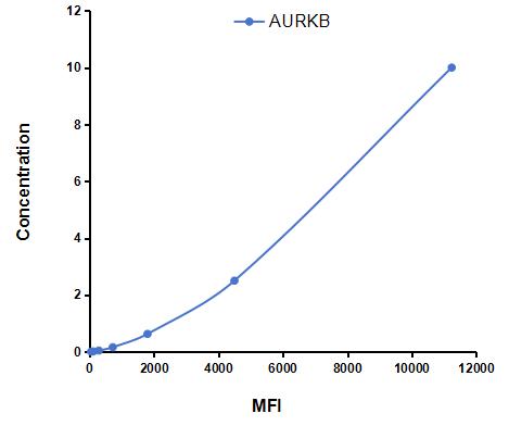 CMF214Hu.jpg