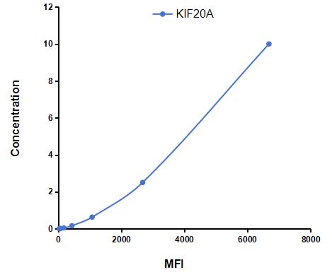 CMF519Hu.jpg