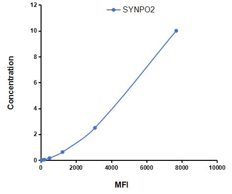 Multiplex Assay Kit for Synaptopodin 2 (SYNPO2) ,etc. by CBA (Cytometric Bead Array)