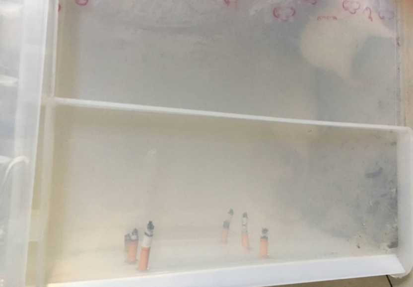 Rat Model for Chronic Obstructive Pulmonary Disease (COPD)