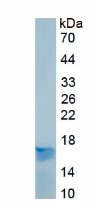 EPA480Mu61.jpg