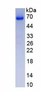 EPA545Mu63.jpg