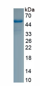 EPA838Hu68.jpg
