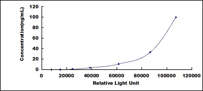 SCC374Hu.jpg