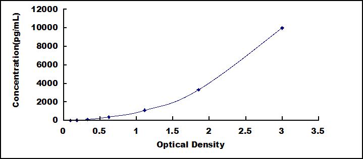 SED075Hu.jpg